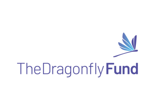 https://thenewfarm.ca/wp-content/uploads/2025/02/Dragonfly-Fund-logo-533x380.png