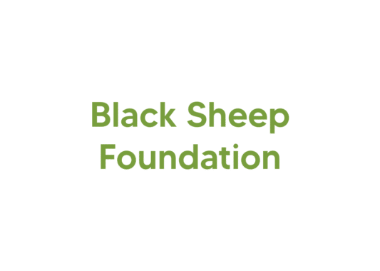 https://thenewfarm.ca/wp-content/uploads/2025/07/Black-Sheep-Foundation-logo-533x380.png