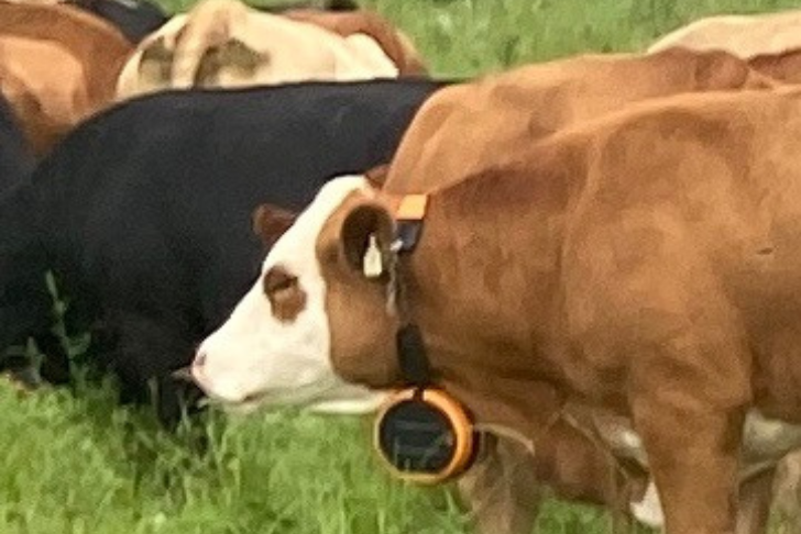 https://thenewfarm.ca/wp-content/uploads/2025/07/Martin-Family-Farm.png