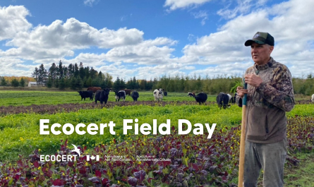 https://thenewfarm.ca/wp-content/uploads/2025/08/Events-Image-Tiles-1.png