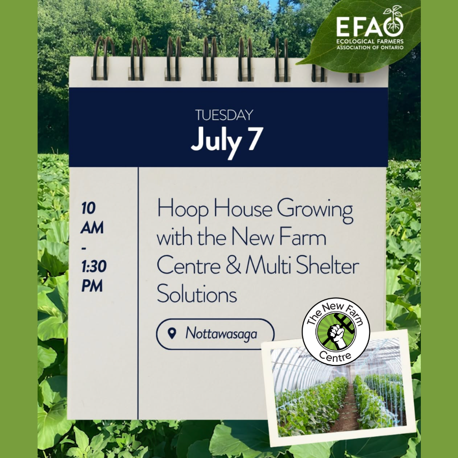 EFAO Field Day 2026 https://thenewfarm.ca/wp-content/uploads/2026/07/EFAO-Field-Day-2026.png