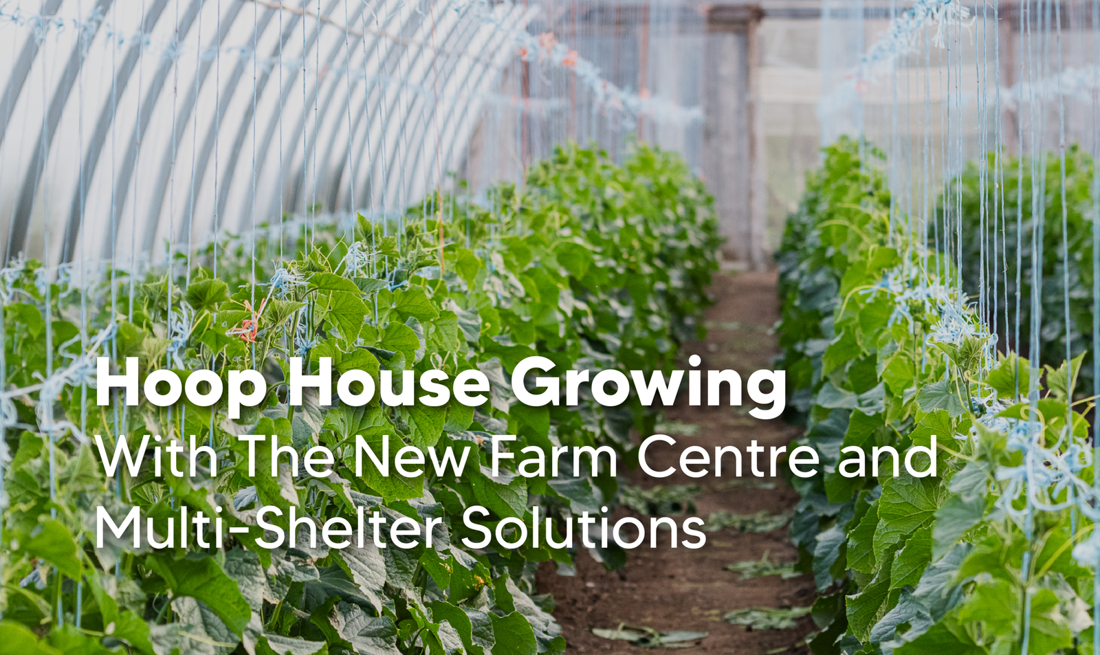 July7-FHoopHouseGrowing https://thenewfarm.ca/wp-content/uploads/2026/08/July7-FHoopHouseGrowing-scaled.png