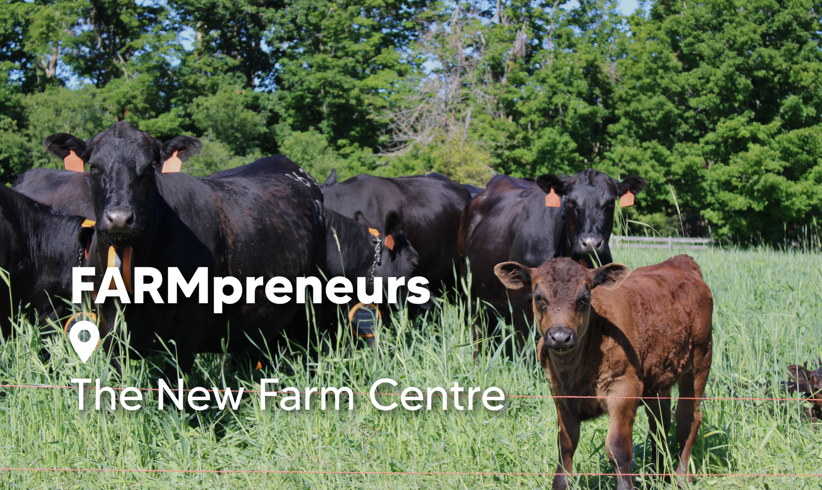 Oct18-23-FARMpreneurs https://thenewfarm.ca/wp-content/uploads/2026/08/Oct18-23-FARMpreneurs-scaled.png
